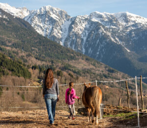 Equithérapie équitation grenoble